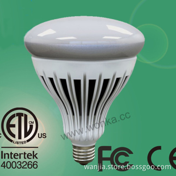 A2 2000lm Energy Star Dimmable R40 Bulb